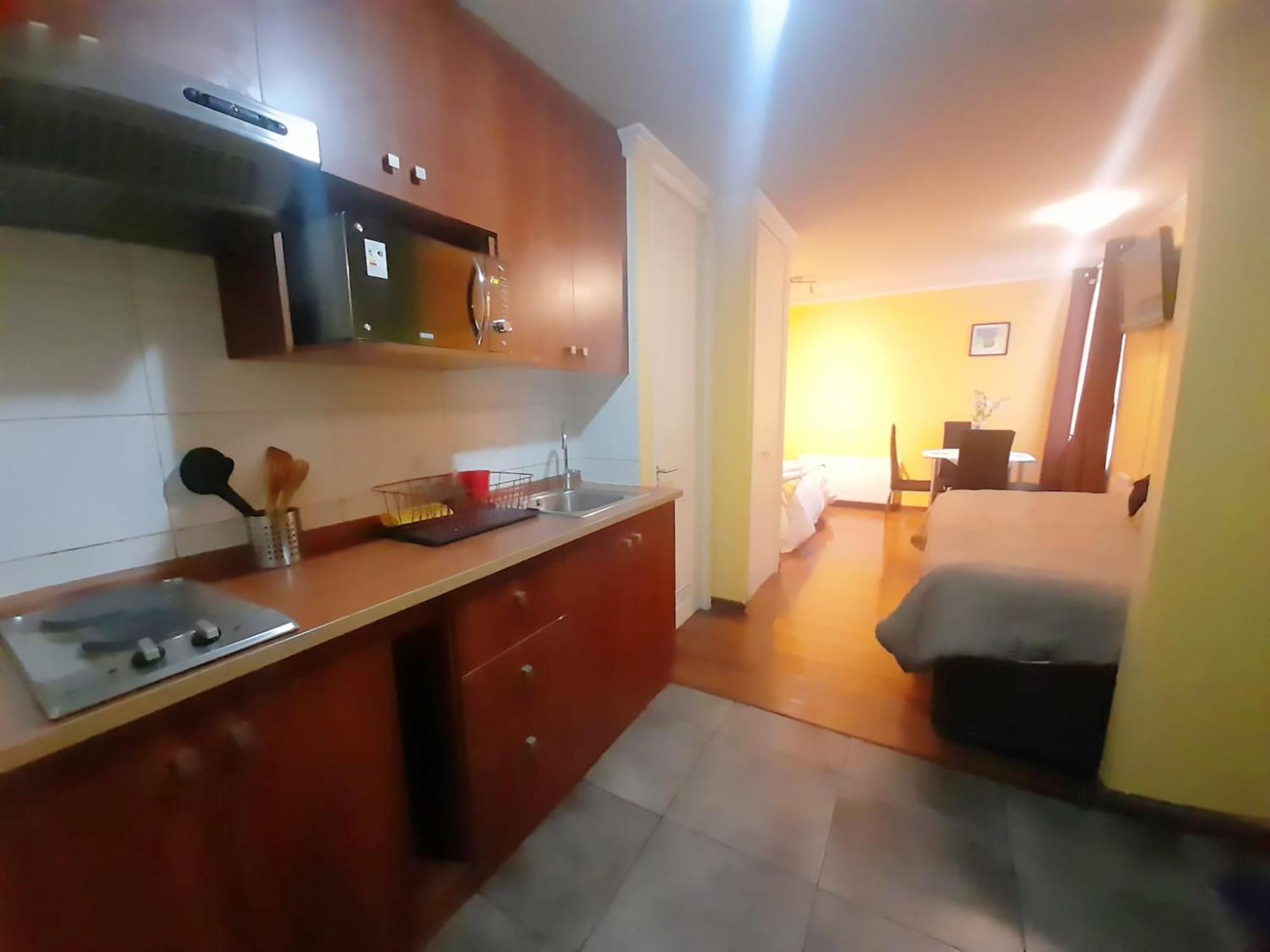 Vip Chile Apartment Santiago